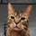 aekcmi's avatar